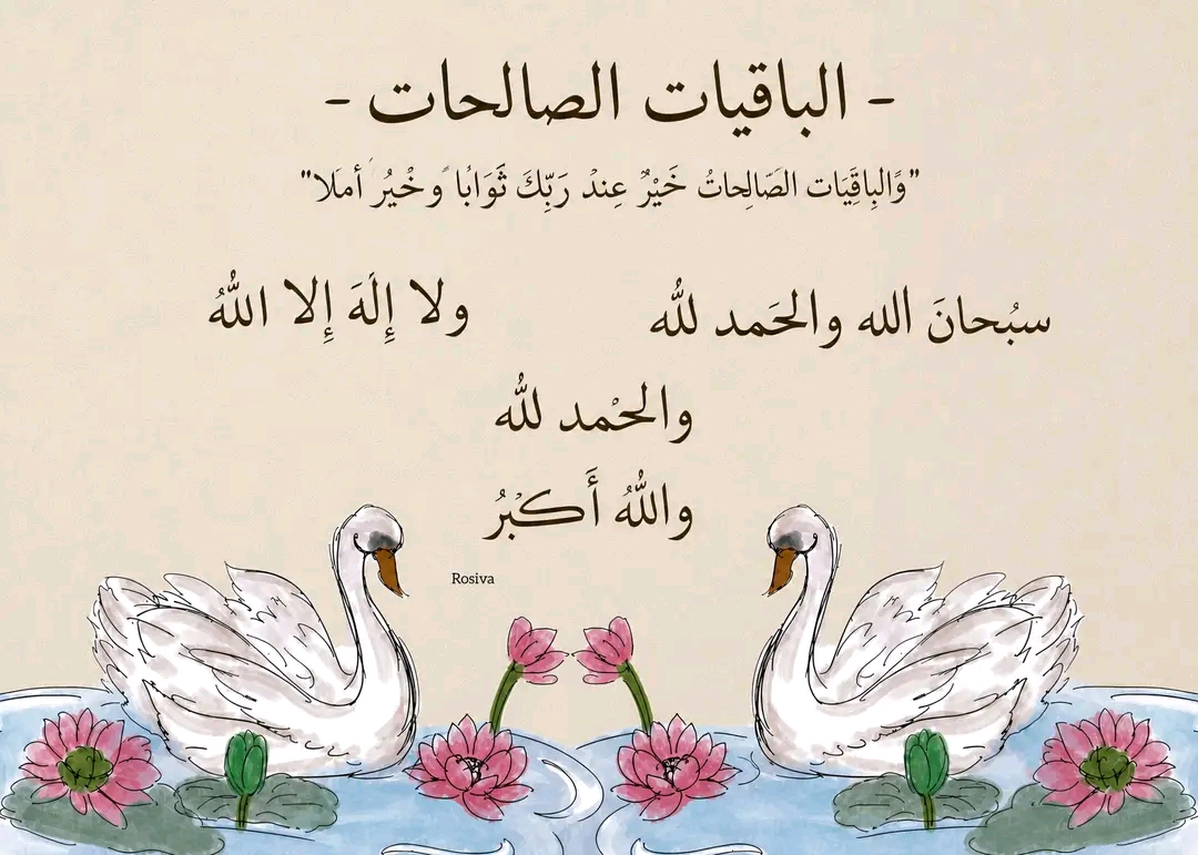 خلود اسامة سيد